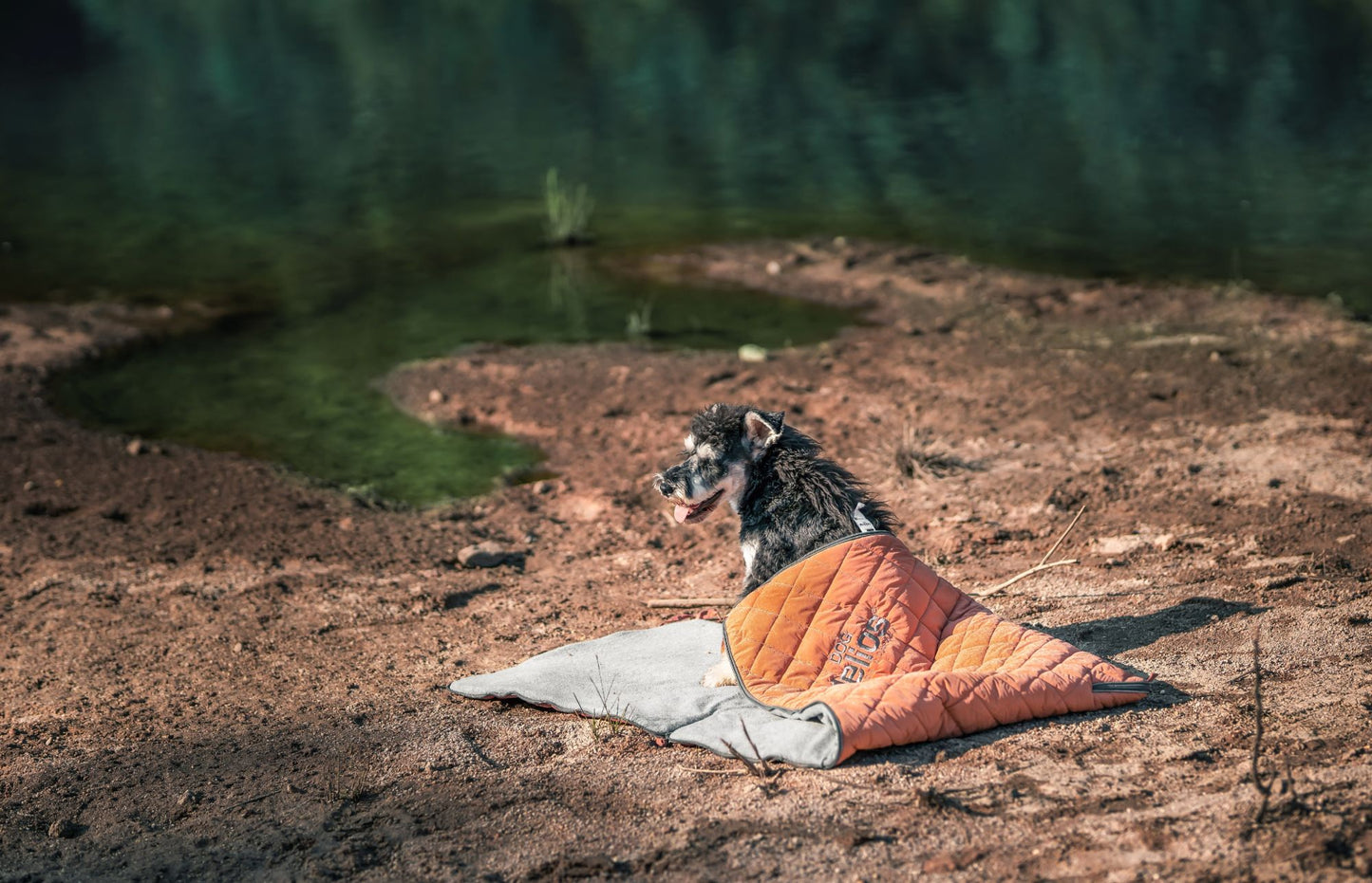 Dog Helios 'Boulder-Trek' 3-in-1 Expandable Surface Outdoor Travel Camping Mat - DragonHearth